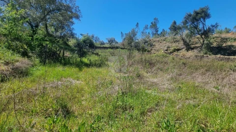 Terreno Agricola ou Rústico para Venda em Santo Andre das Tojeiras