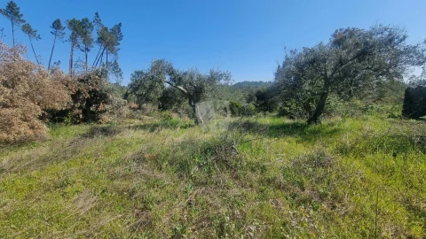 Terreno Agricola ou Rústico para Venda em Santo Andre das Tojeiras