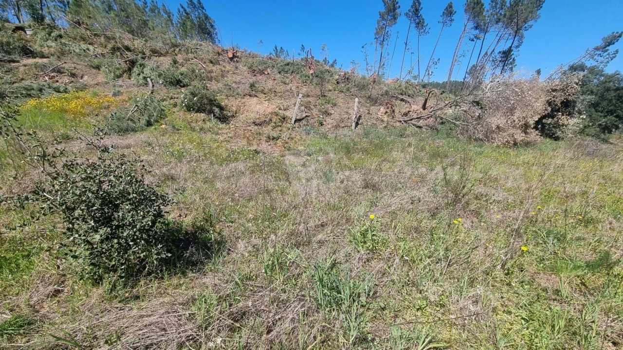 Terreno Agricola ou Rústico para Venda em Santo Andre das Tojeiras Foto 29