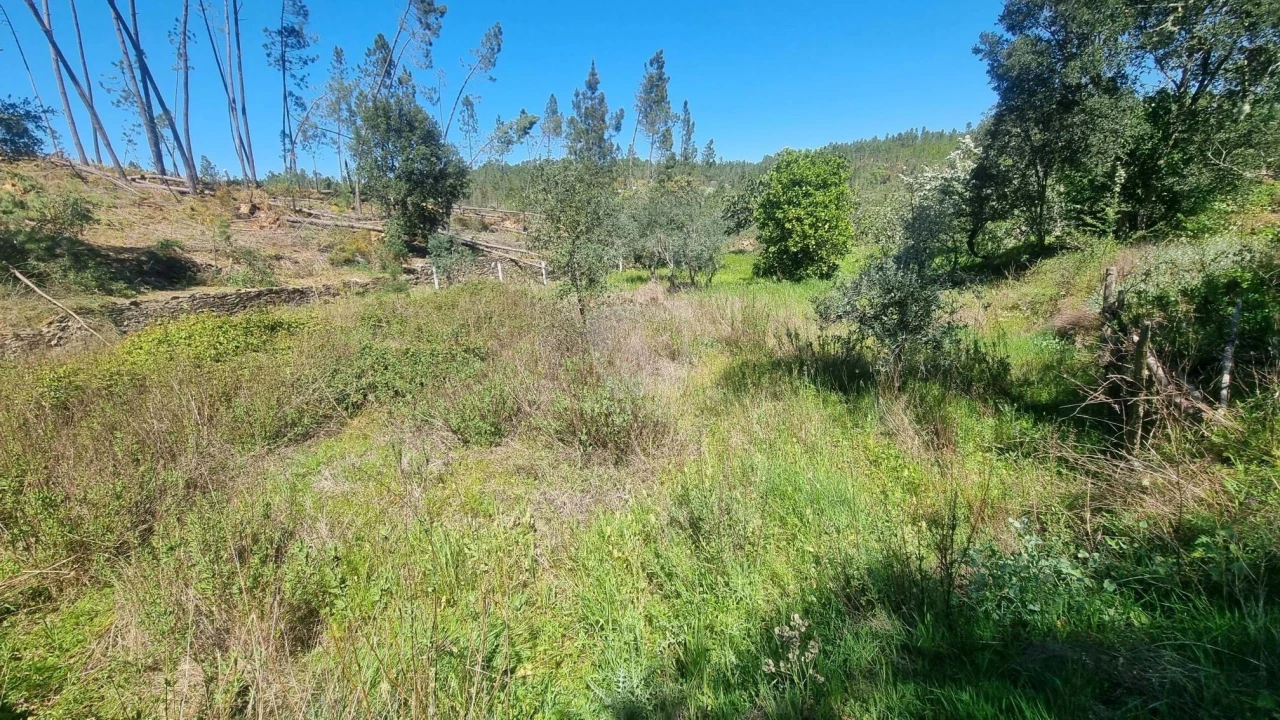 Terreno Agricola ou Rústico para Venda em Santo Andre das Tojeiras Foto 21