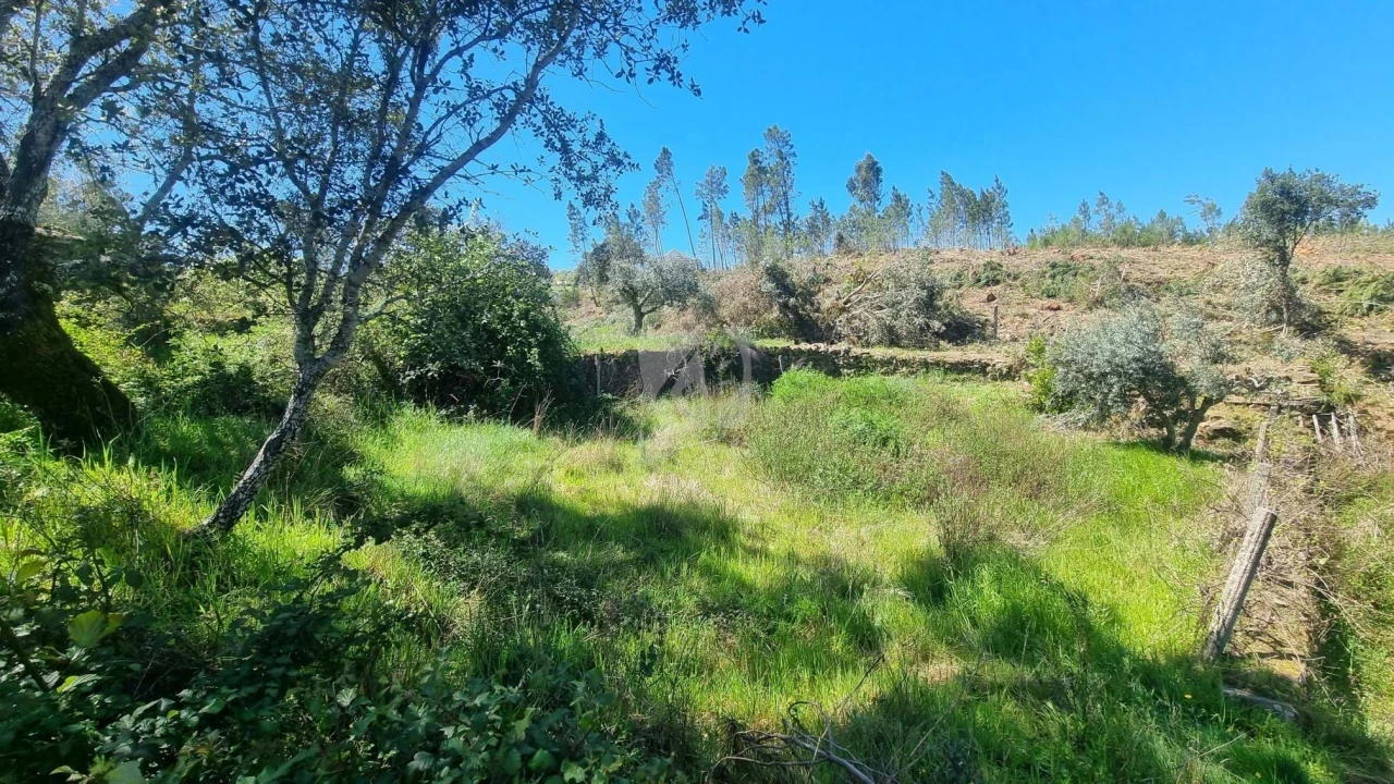Terreno Agricola ou Rústico para Venda em Santo Andre das Tojeiras Foto 24