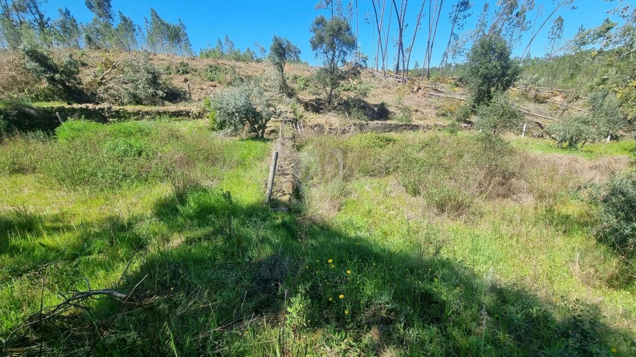 Terreno Agricola ou Rústico para Venda em Santo Andre das Tojeiras Foto 23