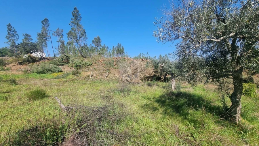 Terreno Agricola ou Rústico para Venda em Santo Andre das Tojeiras Foto 10