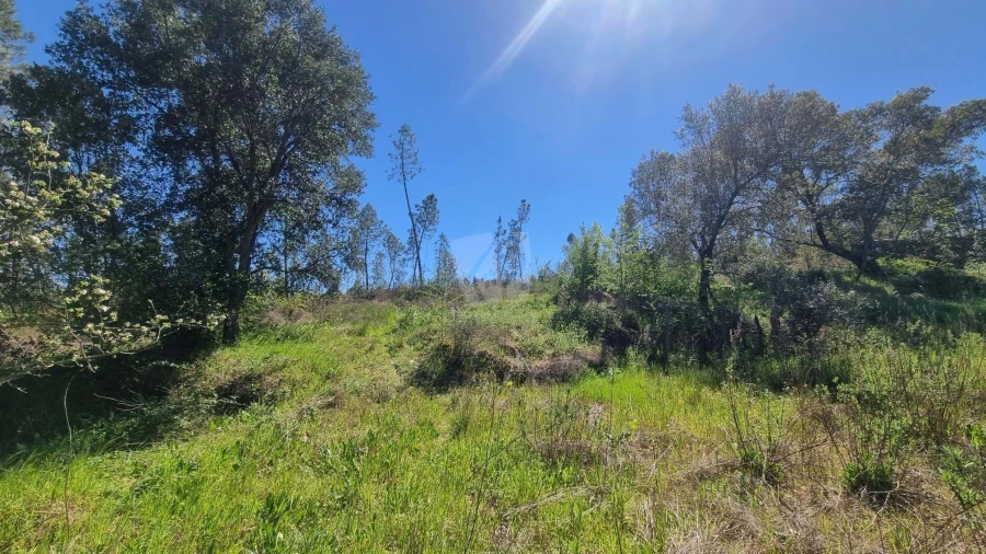 Terreno Agricola ou Rústico para Venda em Santo Andre das Tojeiras Foto 18