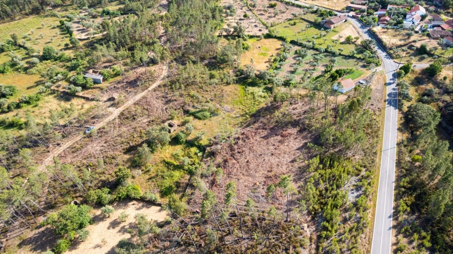 Terreno Agricola ou Rústico para Venda em Santo Andre das Tojeiras Foto 38
