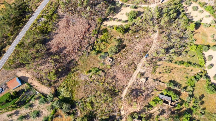 Terreno Agricola ou Rústico para Venda em Santo Andre das Tojeiras Foto 3