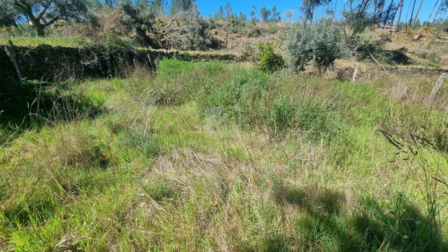 Terreno Agricola ou Rústico para Venda em Santo Andre das Tojeiras Foto 22