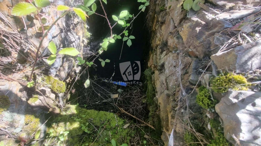 Terreno Agricola ou Rústico para Venda em Santo Andre das Tojeiras Foto 27