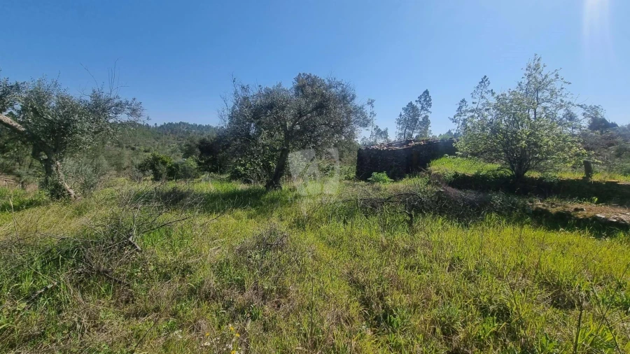 Terreno Agricola ou Rústico para Venda em Santo Andre das Tojeiras Foto 8