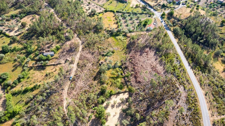 Terreno Agricola ou Rústico para Venda em Santo Andre das Tojeiras Foto 36