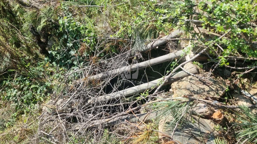 Terreno Agricola ou Rústico para Venda em Santo Andre das Tojeiras Foto 5