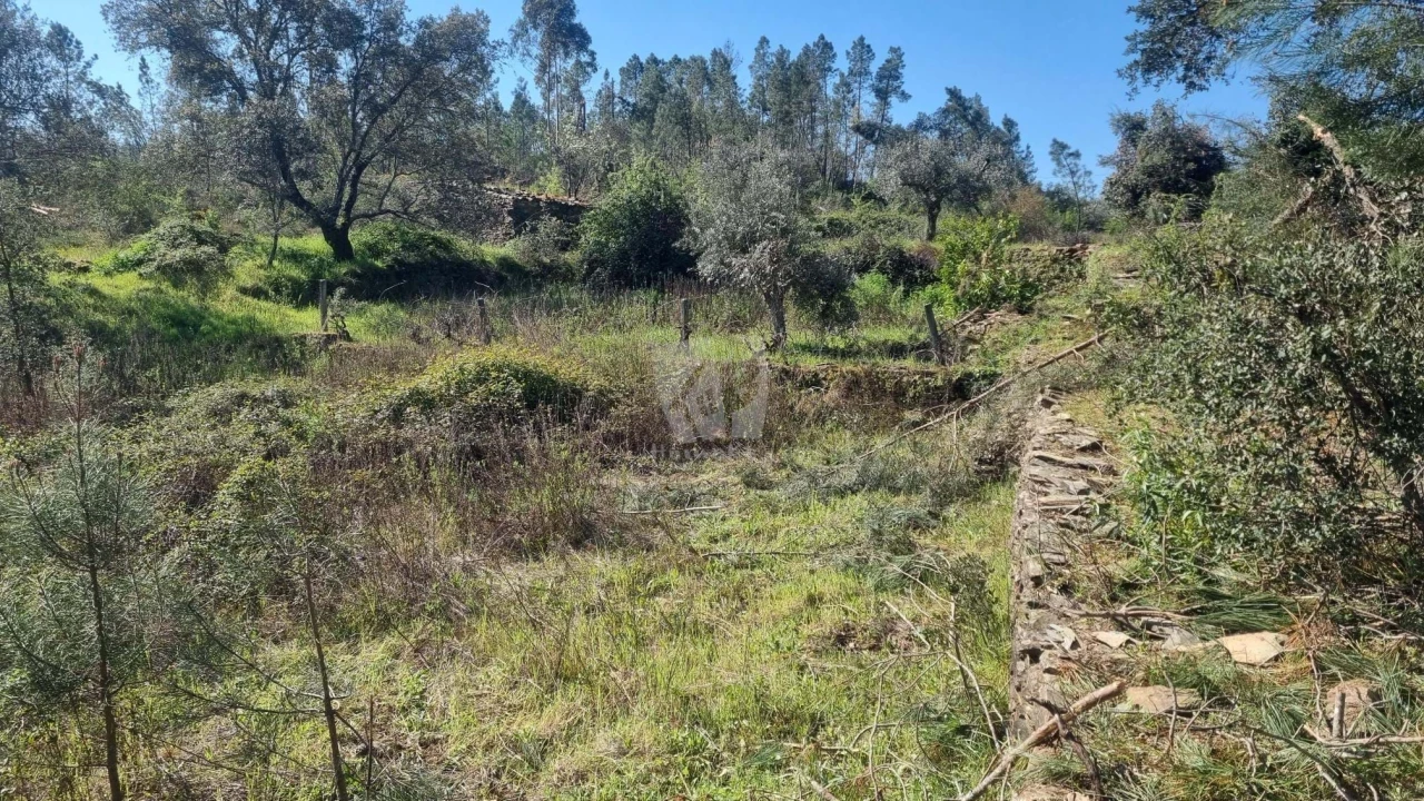 Terreno Agricola ou Rústico para Venda em Santo Andre das Tojeiras Foto 4