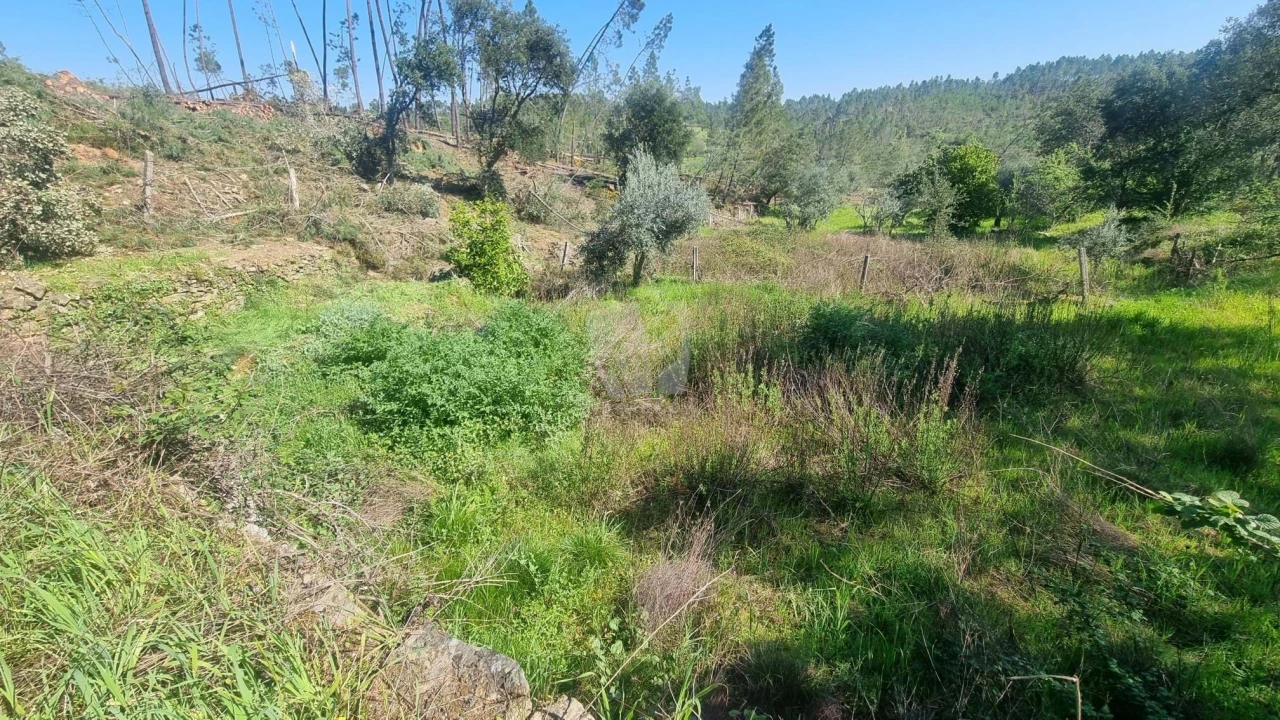 Terreno Agricola ou Rústico para Venda em Santo Andre das Tojeiras Foto 11