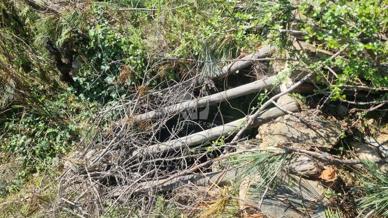 Terreno Agricola ou Rústico para Venda em Santo Andre das Tojeiras Foto 5