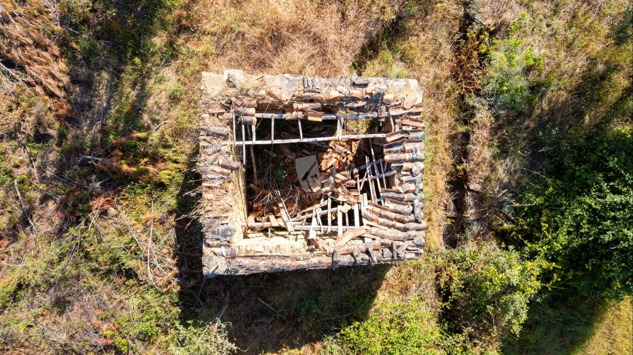 Terreno Agricola ou Rústico para Venda em Santo Andre das Tojeiras Foto 4