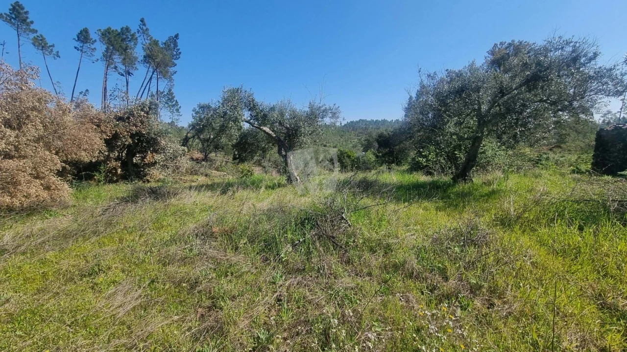 Terreno Agricola ou Rústico para Venda em Santo Andre das Tojeiras Foto 9