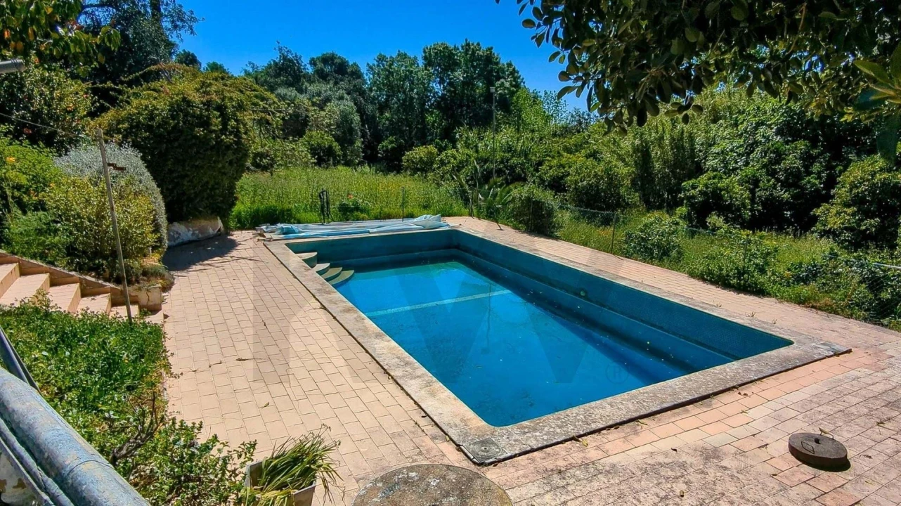 Quinta T3 para Venda em Mexilhoeira Grande Foto 26