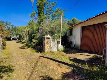 Quinta T3 para Venda em Mexilhoeira Grande