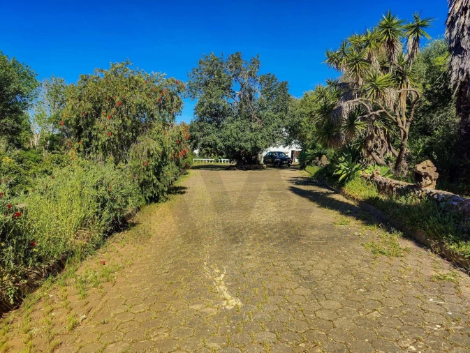 Quinta T3 para Venda em Mexilhoeira Grande Foto 32