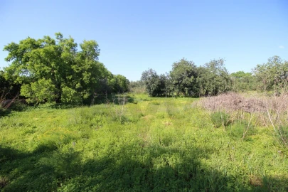 Terreno para Venda em Silves