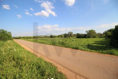 Terreno para Venda em Silves