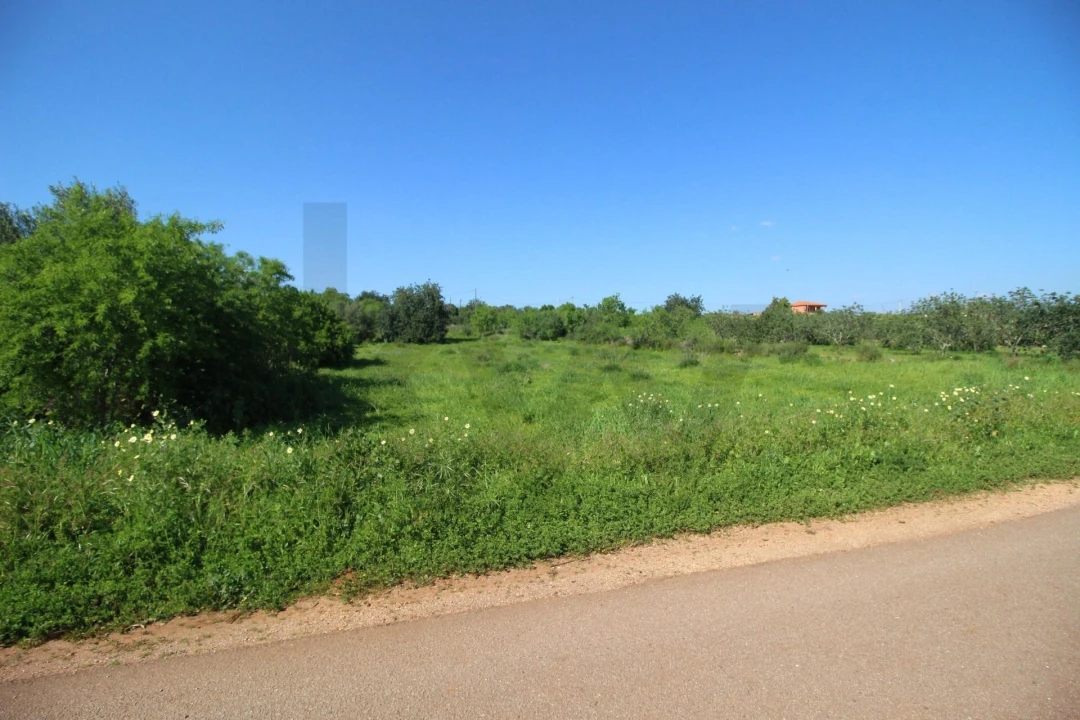 Terreno para Venda em Silves Foto 1