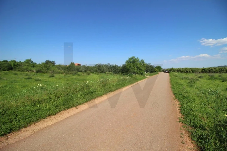 Terreno para Venda em Silves Foto 2