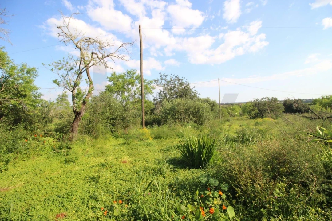 Terreno para Venda em Silves Foto 16