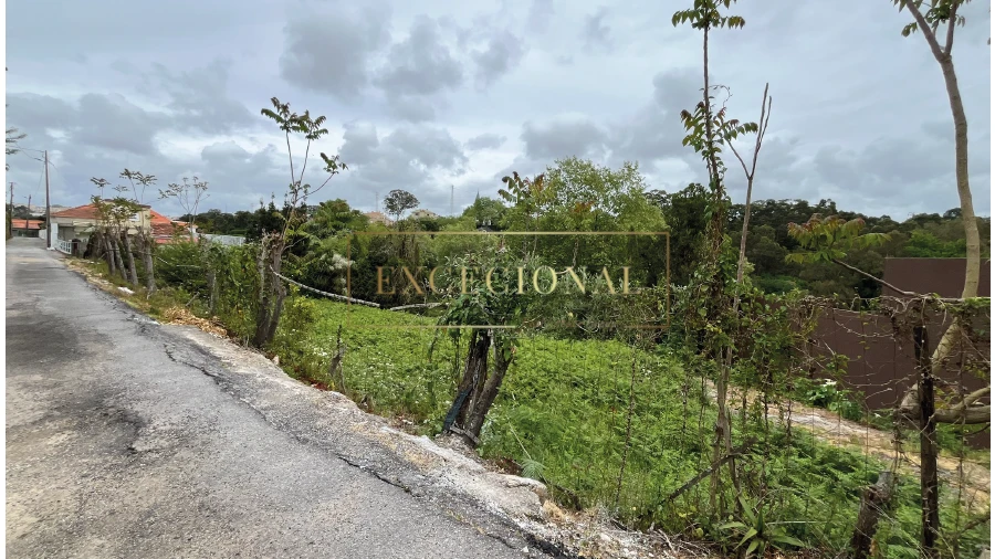 Terreno para Venda em Santa Marinha e São Pedro da Afurada