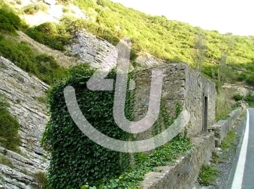 Quinta para Venda em Roliça