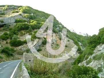 Quinta para Venda em Roliça