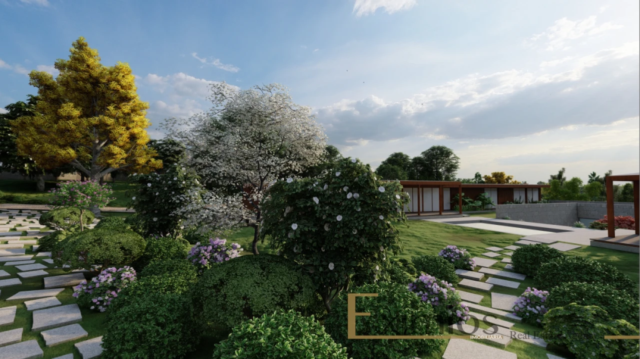 Terreno para Venda em Junqueira Foto 8