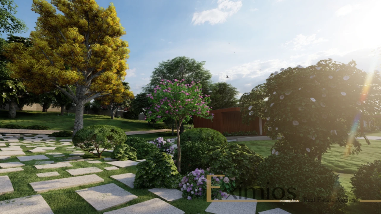 Terreno para Venda em Junqueira Foto 9