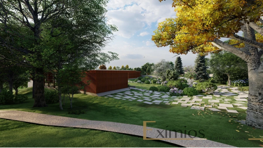 Terreno para Venda em Junqueira Foto 11