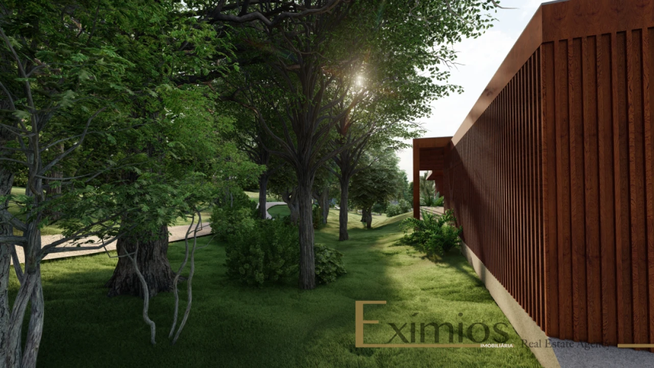 Terreno para Venda em Junqueira Foto 13