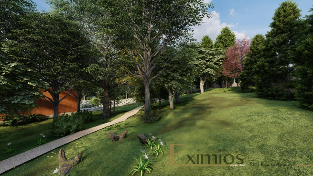 Terreno para Venda em Junqueira Foto 12