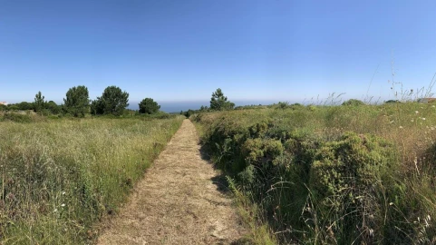 Terreno para Venda em Sesimbra (Castelo)