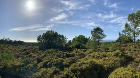 Terreno para Venda em Sesimbra (Castelo)