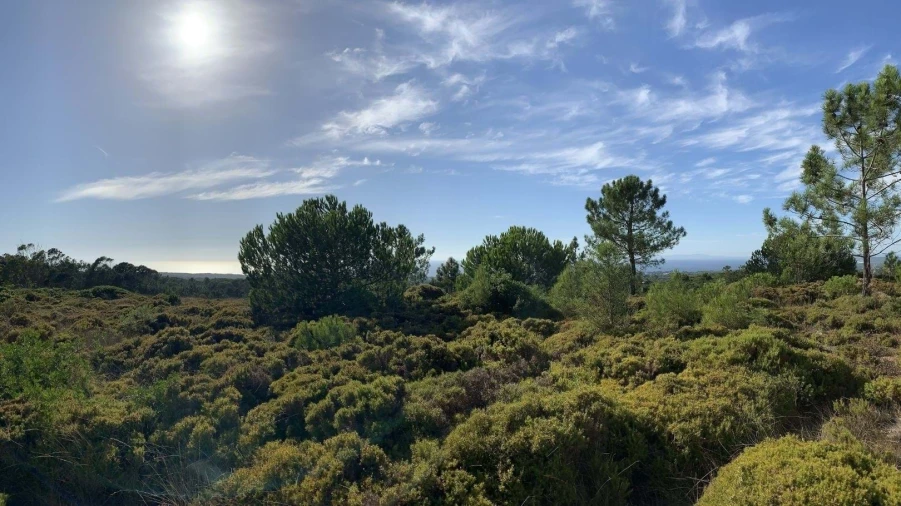 Terreno para Venda em Sesimbra (Castelo) Foto 3