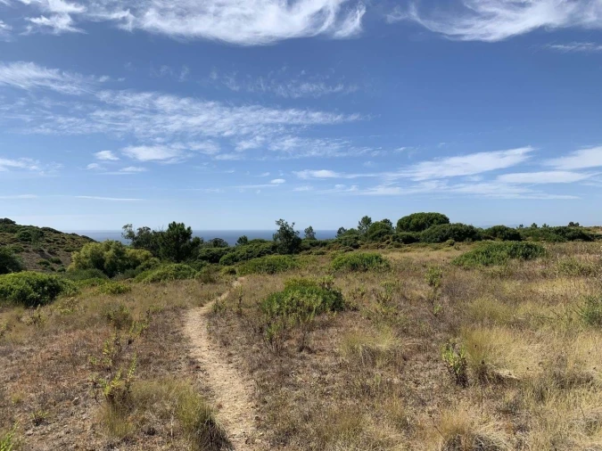 Terreno para Venda em Sesimbra (Castelo) Foto 4