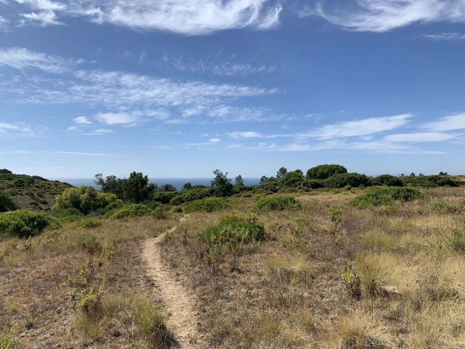 Terreno para Venda em Sesimbra (Castelo) Foto 4