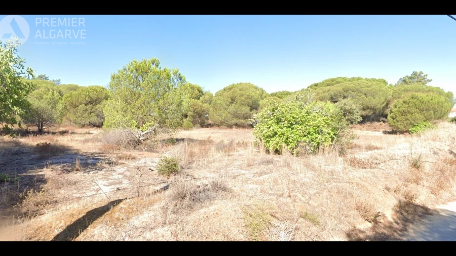Terreno para Venda em Montenegro