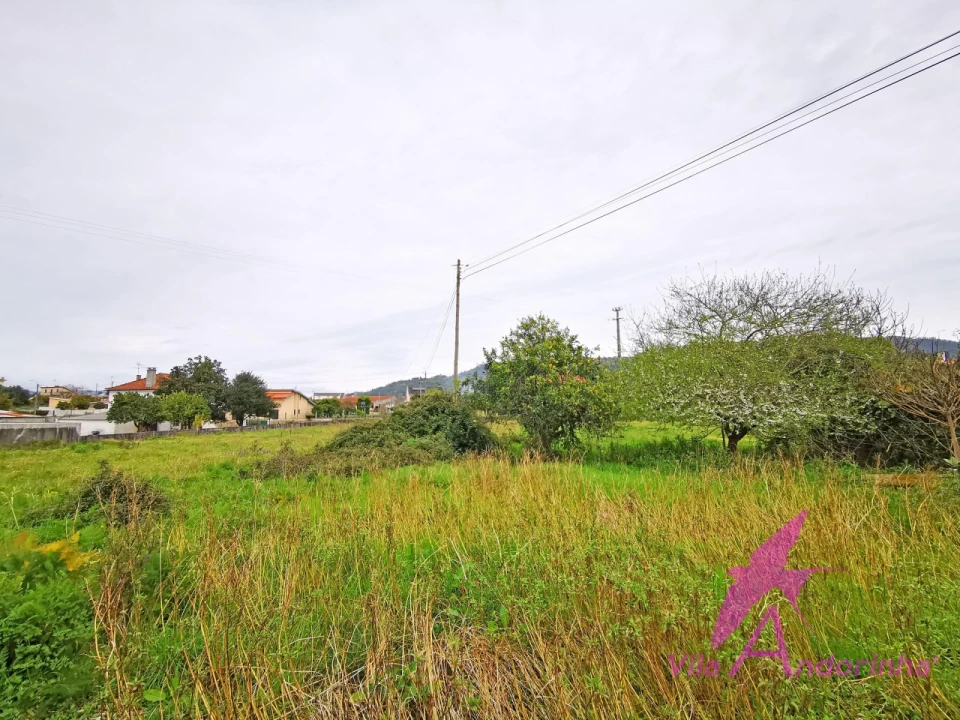 Terreno para Venda em Geraz do Lima (Santa Maria, Santa Leocádia, Moreira), Deão Foto 3