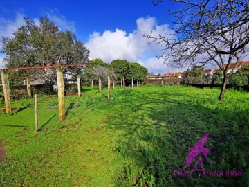 Terreno para Venda em Santa Marta de Portuzelo
