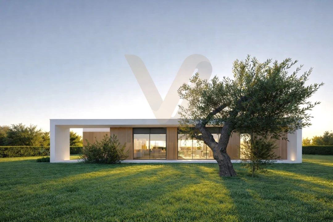 Terreno para Venda em Ardegão, Freixo e Mato Foto 1