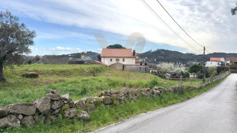 Terreno para Venda em Ardegão, Freixo e Mato