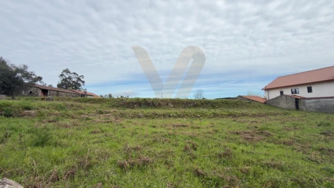 Terreno para Venda em Ardegão, Freixo e Mato