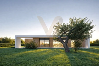 Terreno para Venda em Ardegão, Freixo e Mato