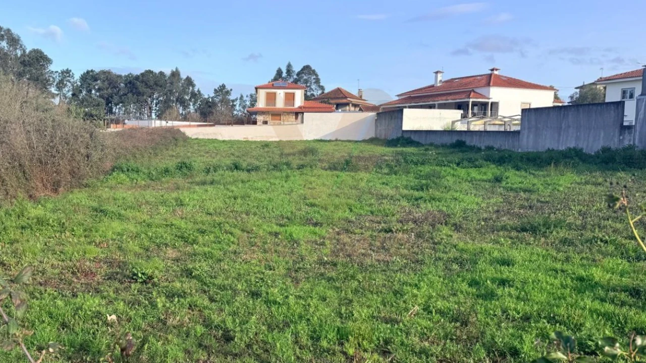 Terreno para Venda em Alvarães Foto 4