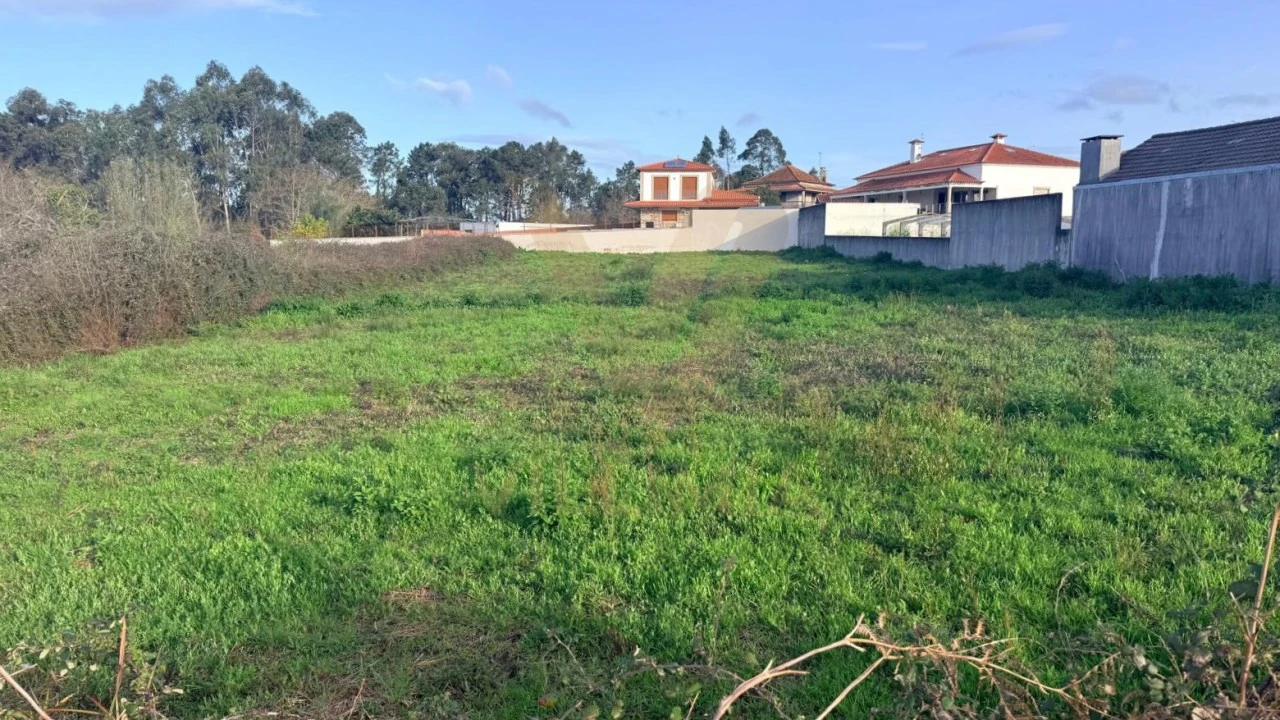 Terreno para Venda em Alvarães Foto 5
